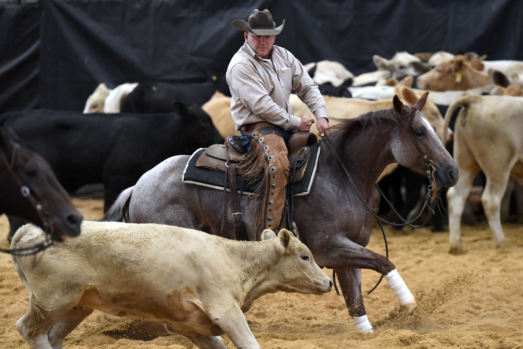 Michelle Lynn Holsey Foundation NCHA Cutting & Benefit